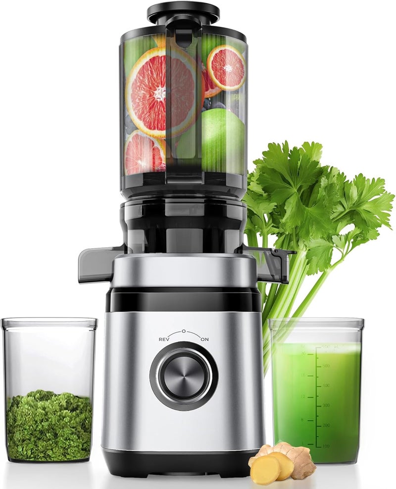 EILKOS Juicer Machines, Cold Press Juicer with Wide Feed Chute, Slow Masticating Juicers for Whole Vegetables & Fruits, High Juice Yield, Easy to Clean, Large Auger, Light Silver - Image 1